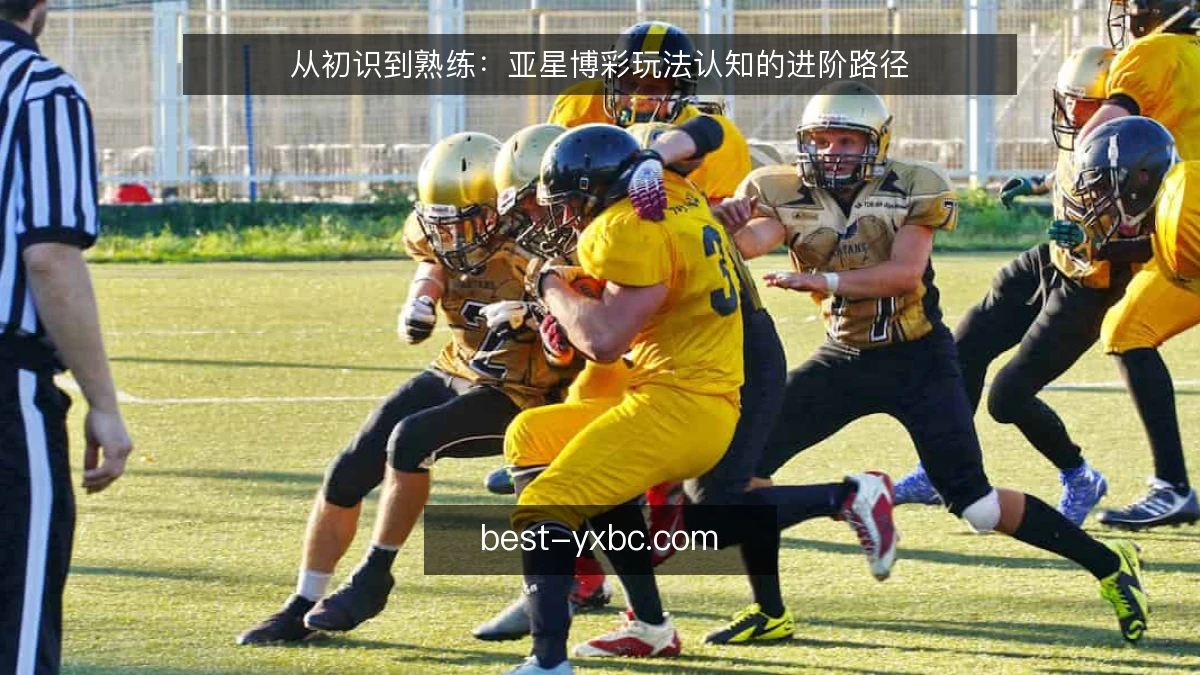 从初识到熟练:亚星博彩玩法认知的进阶路径