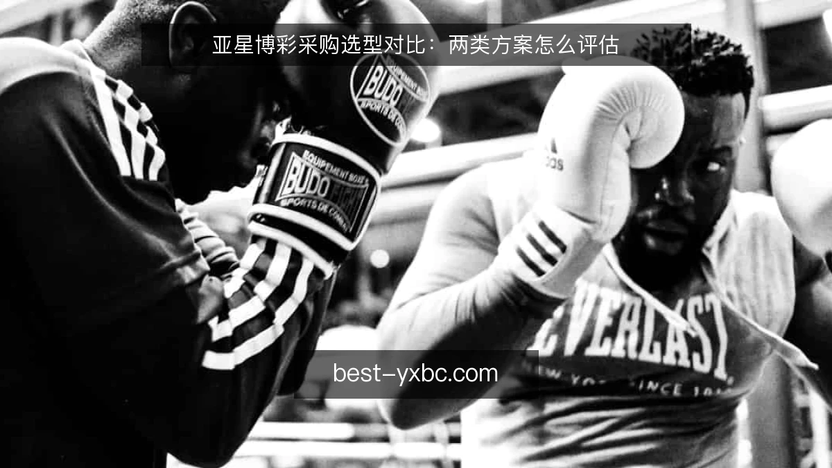 亚星博彩采购选型对比：两类方案怎么评估